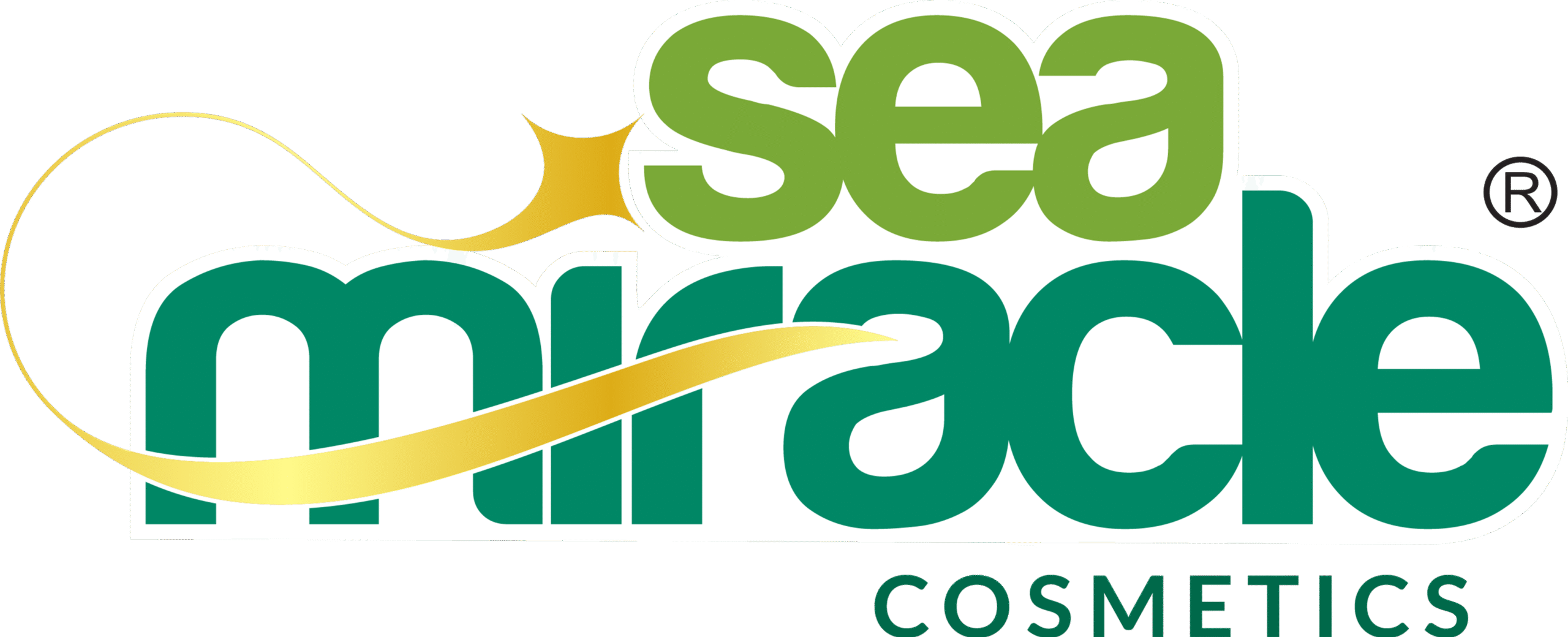 seamiracle.in